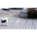 Automatic dog leash 8m/50kg purlov 19786m Automatic dog leash 8m/50kg purlov 19786m