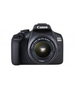 Canon EOS 2000D + EF-S 18-55mm f/3.5-5.6 IS II + EF 75-300mm f/4-5.6 III
