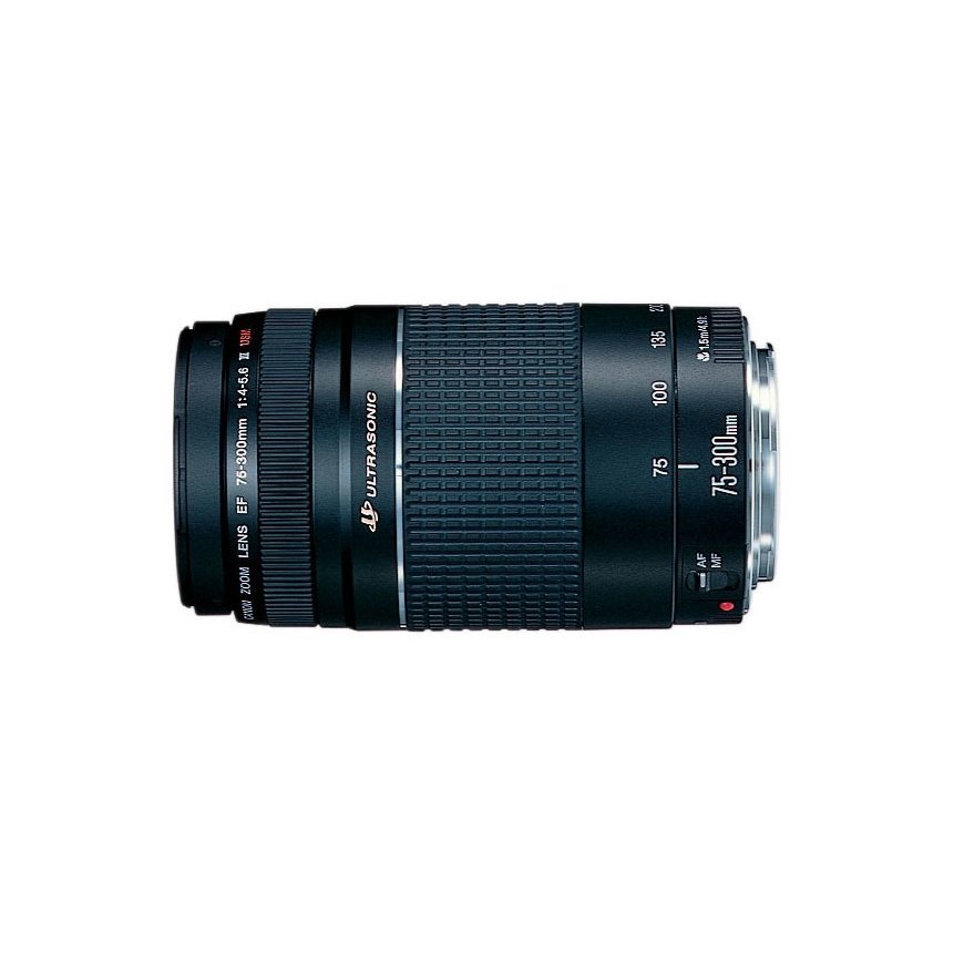 Canon EOS 2000D + EF-S 18-55mm f/3.5-5.6 IS II + EF 75-300mm f/4-5.6 III – 3