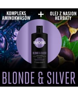 Blonde & Silver Purple Shampoo