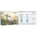 PAYOT Lisse Smoothing Cares Ritual Day Cream PAYOT Lisse Smoothing Cares Ritual Day Cream