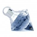 CHOPARD WISH EDP W 30ML CHOPARD WISH EDP W 30ML
