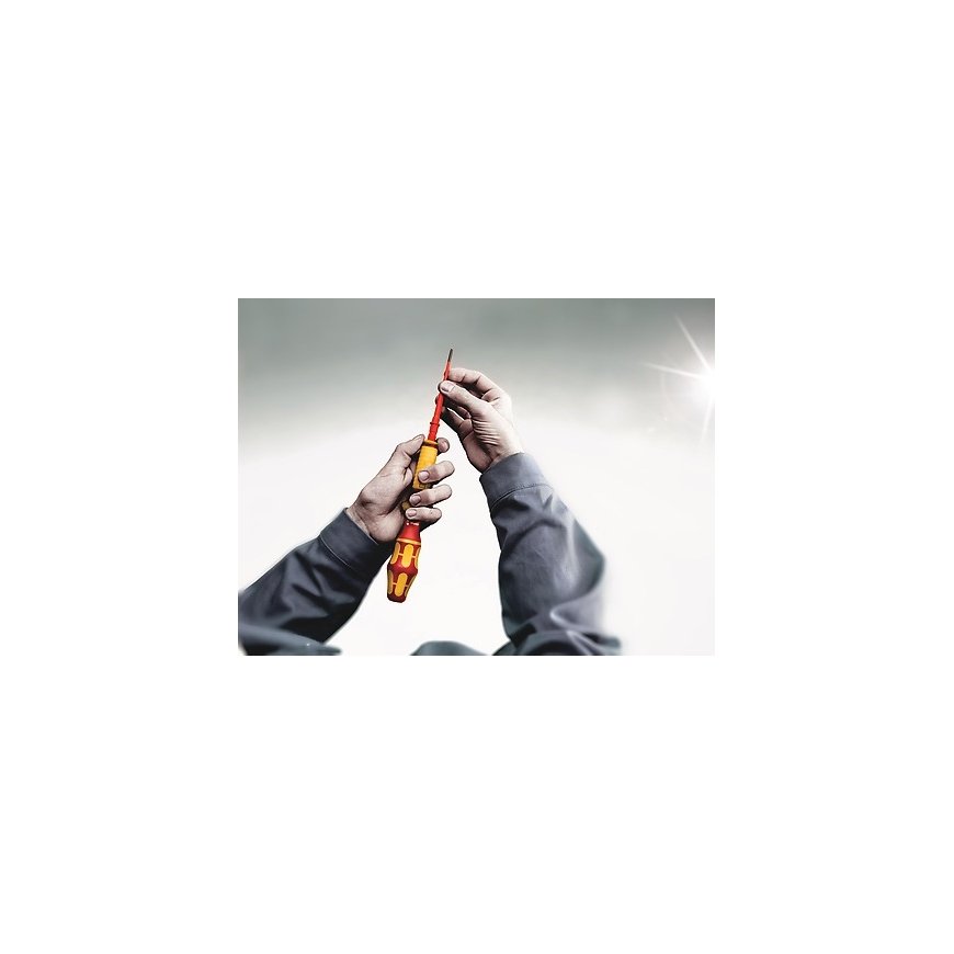 Wera 05003422001 screwdriver bit 1 pc(s) – 5
