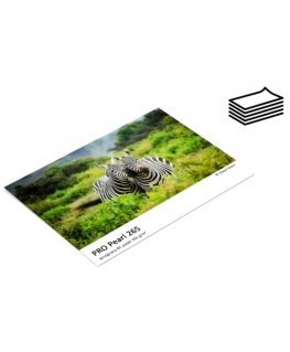 Fomei A4|20+5 PRO Pearl 265g|m2 photo paper