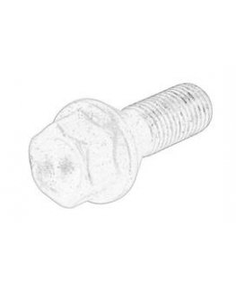 Ankerinis varžtas RawlPlug R-XPT-12100/5 12x100 mm 50 vnt.