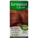 Farmatint 8470001790101 окрашивание волос Золотисто-каштановый 60 ml Farmatint 8470001790101 окрашивание волос Золотисто-каштановый 60 ml