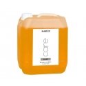 Subrina Professional Subrina Professional, Care Salon, Birch, Hair Shampoo, For Cleansing, 5000 ml For Women Subrina Professional Subrina Professional, Care Salon, Birch, Hair Shampoo, For Cleansing, 5000 ml For Women