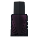 Elizabeth Taylor Passion EDC cologne for men, 118 ml