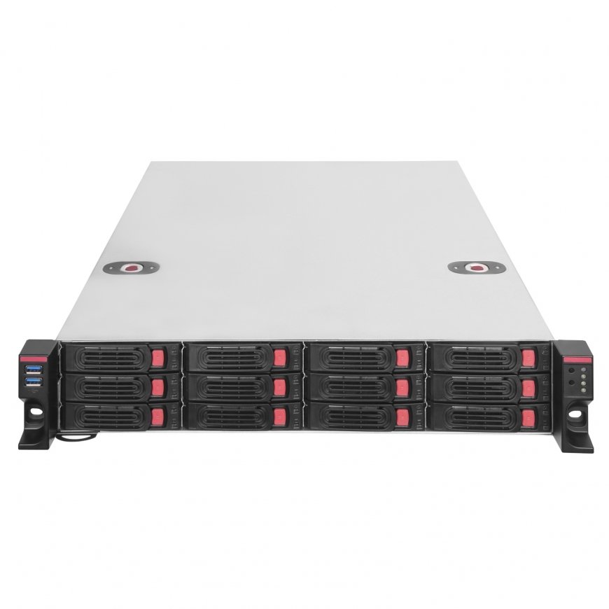 Silverstone RM22-312 HDD/SSD enclosure Stainless steel 2.5/3.5"