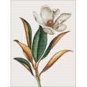 Beldizart Magnolia 30*40 WD3017 Beldizart Magnolia 30*40 WD3017