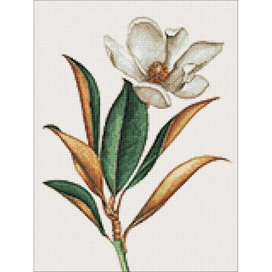 Beldizart Magnolia 30*40 WD3017 – 4