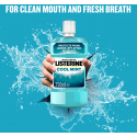 Listerine Cool Mint Mouthwash Listerine Cool Mint Mouthwash