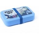 Amuse Lunch box with gum Koality time Amuse Lunch box with gum Koality time