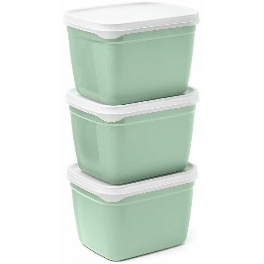 Amuse Pojemniki do zamrażarki Optifridge BIO 3x1.2L