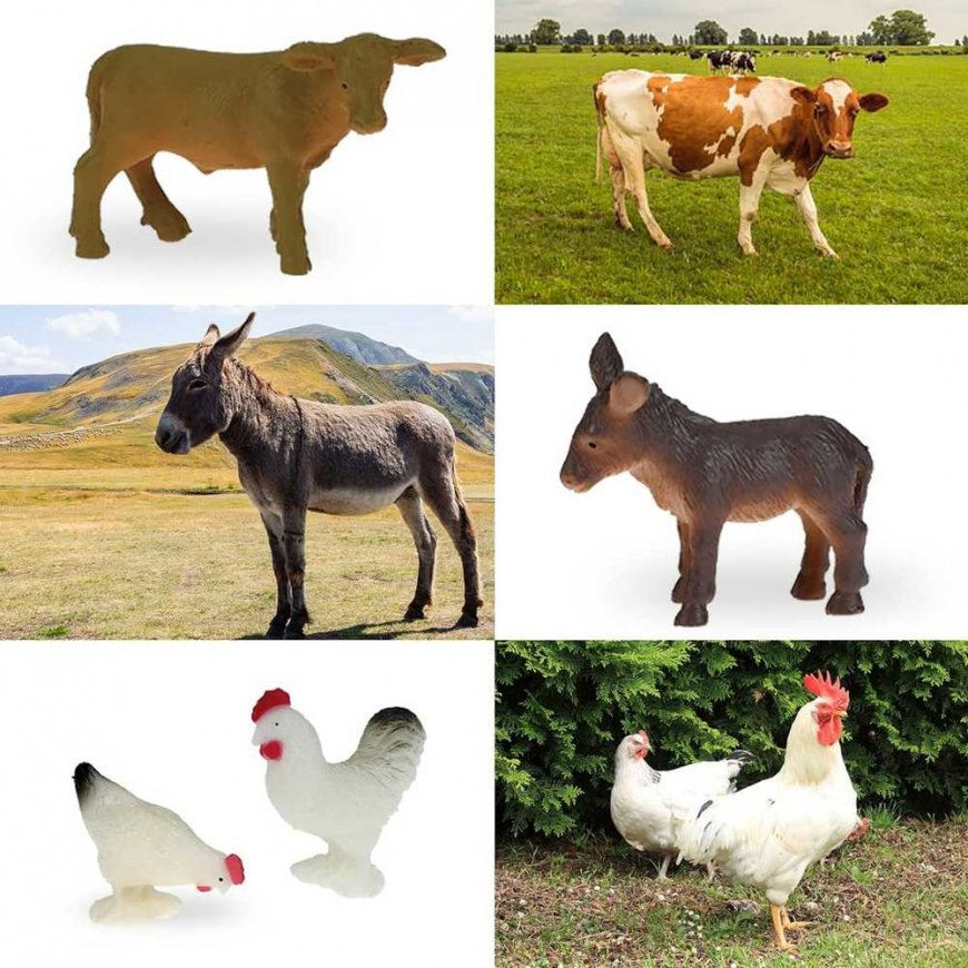 WOOPIE Rinkinys Mały Farmer XL Figurki Gospodarstwo – 5