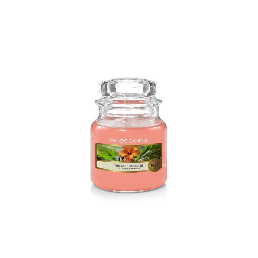Yankee Candle The Last Paradise vahaküünal Ümmargune Oranž 1 tk