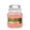 Yankee Candle The Last Paradise vaska svece Apaļš Oranžs 1 pcs Yankee Candle The Last Paradise vaska svece Apaļš Oranžs 1 pcs