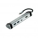 Canyon DS-3 USB 3.2 Gen 1 (3.1 Gen 1) Type-C Серый Canyon DS-3 USB 3.2 Gen 1 (3.1 Gen 1) Type-C Серый