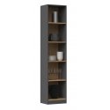 Topeshop R40 ANT/ART knygų lentyna biurui Topeshop R40 ANT/ART knygų lentyna biurui