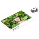 Fomei A4|20+5 PRO Gloss 265g|m2 photo paper Fomei A4|20+5 PRO Gloss 265g|m2 photo paper