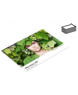 Fomei 10x15|20 PRO Gloss 265g|m2 photo paper