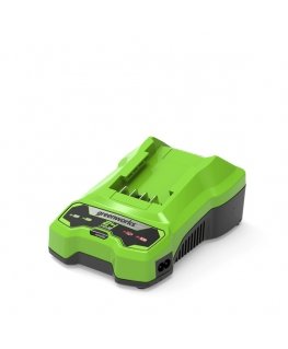 Greenworks 2932407 elektrilise tööriista Akulaadija