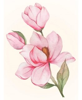 Beldizart Magnolia ring 30*40 WD3021