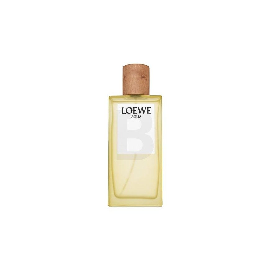 Loewe Loewe Water EDT U 100
