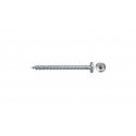 Fischer 670438 kruvi ja polt 40 mm 100 tk