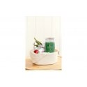 Yankee Candle 1743380E vaska svece Cilindrs Fir balsam, Dewy Greens, Spice Zaļš 1 pcs Yankee Candle 1743380E vaska svece Cilindrs Fir balsam, Dewy Greens, Spice Zaļš 1 pcs