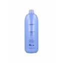 Restorative shampoo L'Oreal Professionnel Paris Expert Absolut