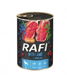 Rafi II Mag case for Samsung S24 Plus - Black