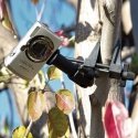 Delkin DDMOUNT-VISE tripod Universal Black Delkin DDMOUNT-VISE tripod Universal Black
