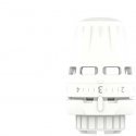 Danfoss Termostatinė galva 015G3690, REGUS RA Danfoss Termostatinė galva 015G3690, REGUS RA