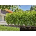 Gardena 13500-20 pilienveida apūdeņošanas sistēma