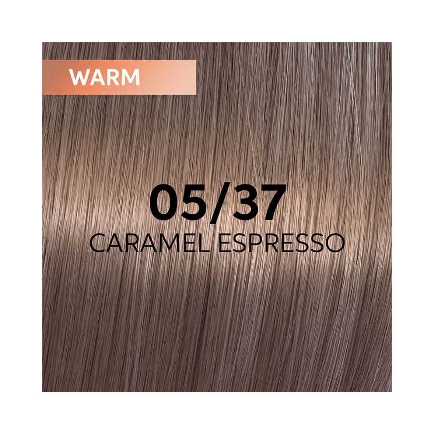 Hair dye Wella Professionals Shinefinity Glaze 60ml