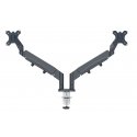 Leitz 65370089 monitor mount / stand 81.3 cm (32") Grey Desk