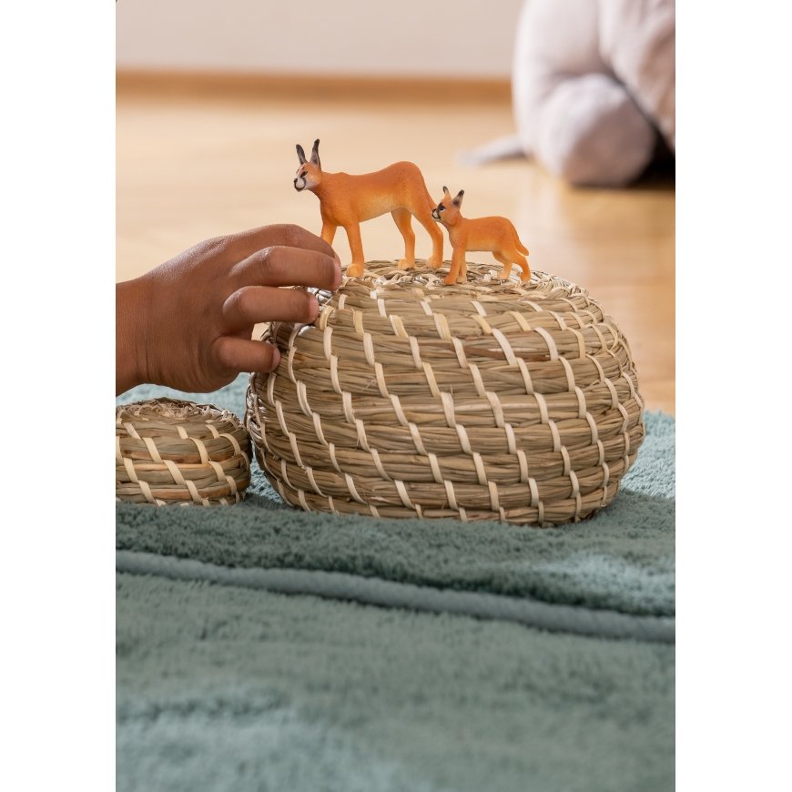 schleich WILD LIFE 14868 mängukujuke – 5