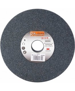 Galandinimo diskas Richmann C4764 200x20x32 mm