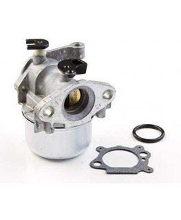 Carburetor Briggs&Stratton 799871