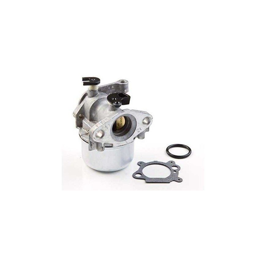 Carburetor Briggs&Stratton 799871