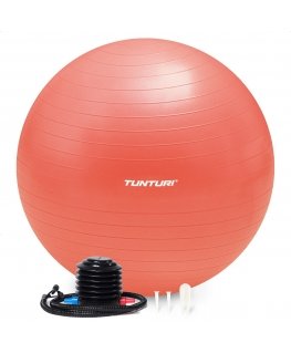 Tunturi Gymball 65cm, Rose gold, Anti Burst