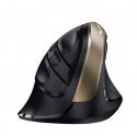 Mouse Genius Mouse Ergo 8250S, 1600DPI, 2.4 [GHz], optical, 6kl., wireless, black-gold, 1 szt AA, wertykalna