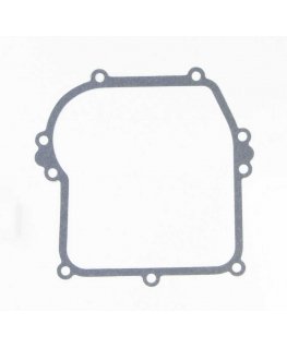 Gasket Briggs&Stratton 799587 + 7 crankcase mounting bolts