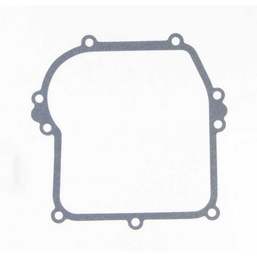 Briggs&Stratton Gasket Briggs&Stratton 799587 + 7