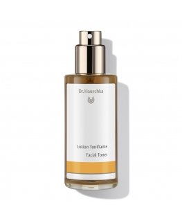 Dr. Hauschka 4020829005280 Näokreem ja toonik 100 ml Mehed