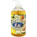 Dante Dolce Vivere Capri mydło w płynie 500ml Dante Dolce Vivere Capri mydło w płynie 500ml