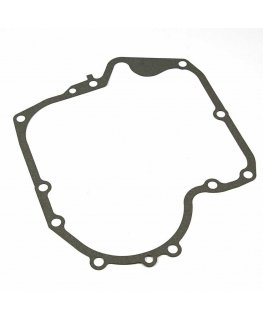 Gasket Briggs&Stratton 697110 1 pc.
