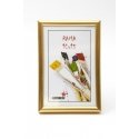 Photo frame Gedeon Frame GED 60x80 plast EASY gold | 8 mm Photo frame Gedeon Frame GED 60x80 plast EASY gold | 8 mm
