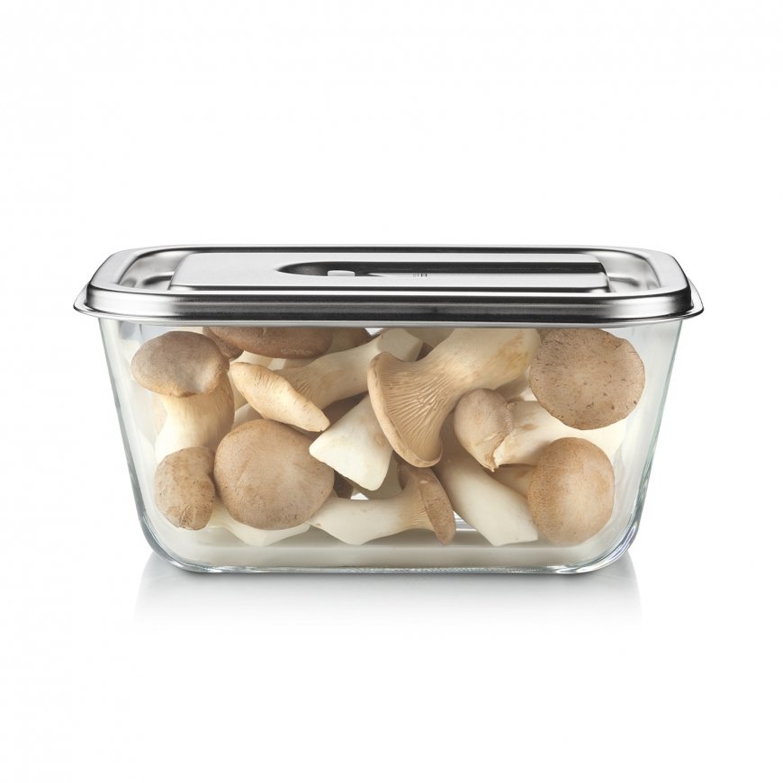 Caso Glass Vacuum Container with Plastic Lid | VacuBoxx Inox XL – 3